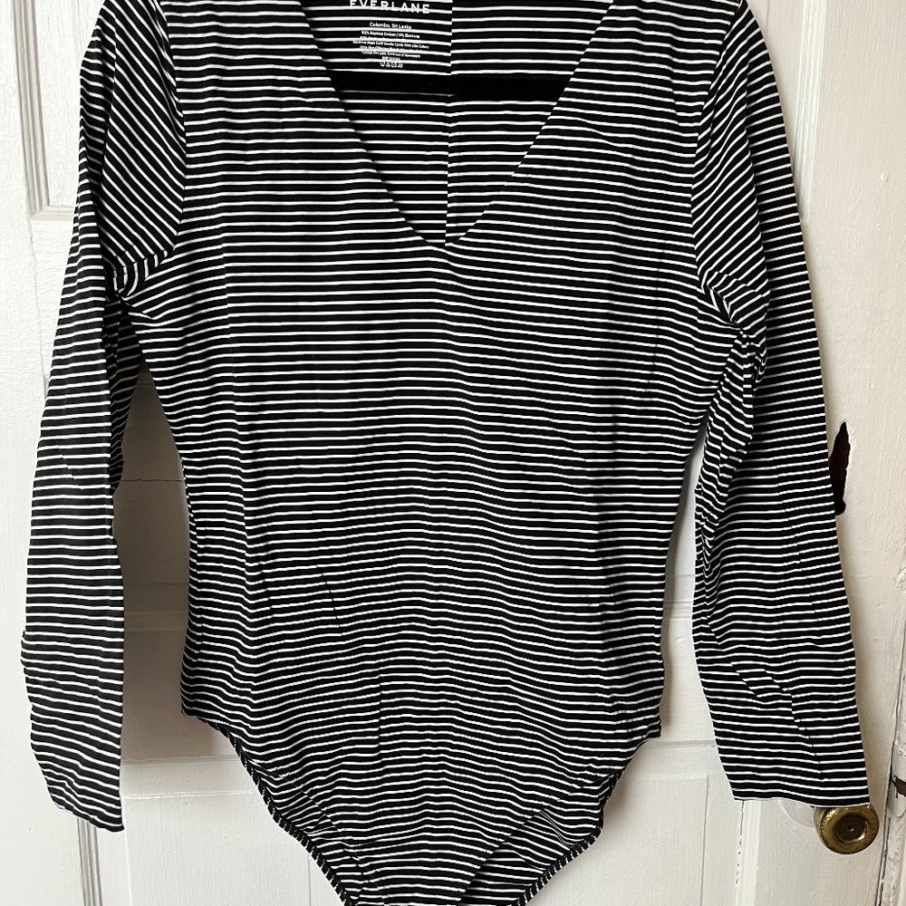 Everlane Long Sleeve V-Neck Bodysuit